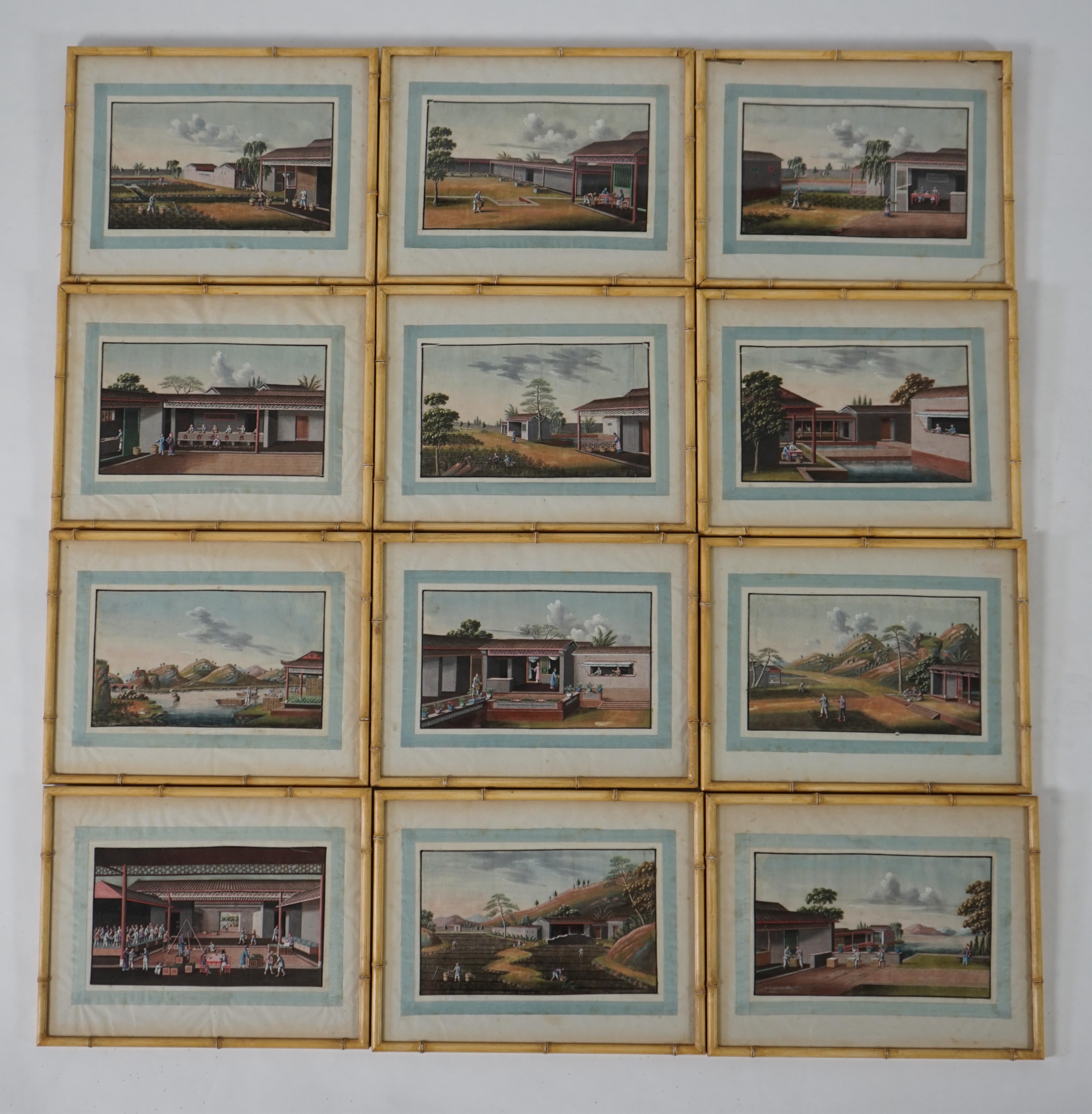 A set of twelve Chinese gouache paintings on pith paper of tea production, circle of Tingqua c.1840